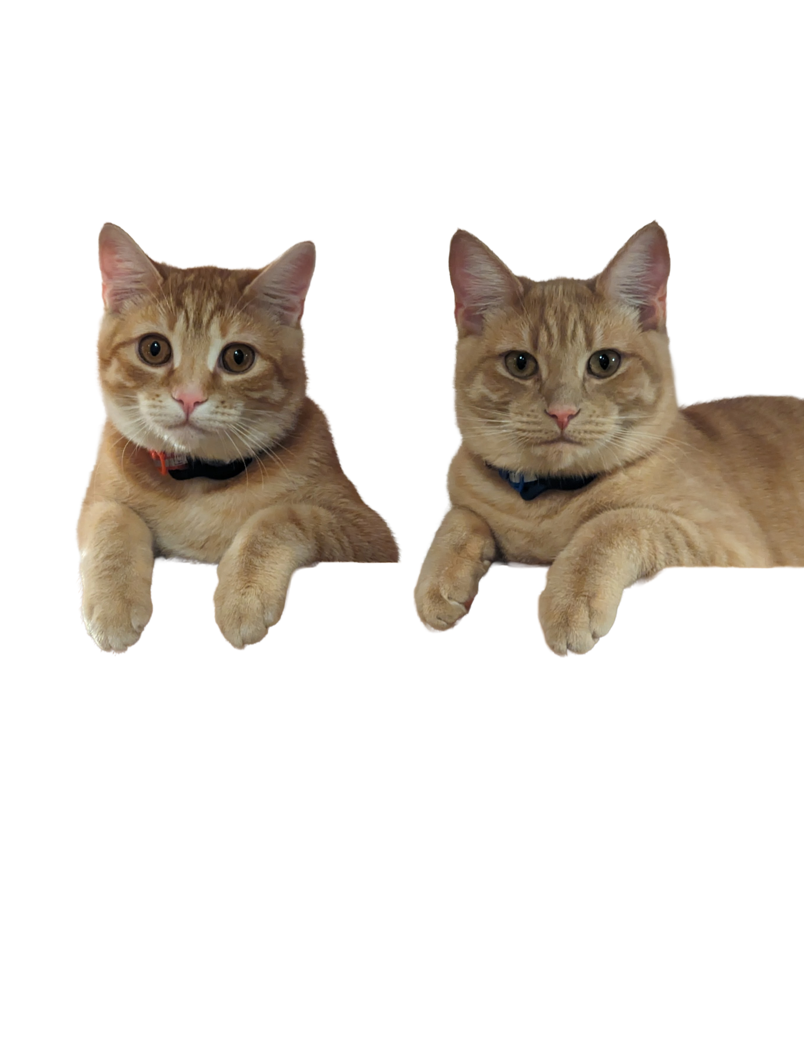 Tater and Tot